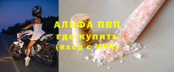 амф Новодвинск