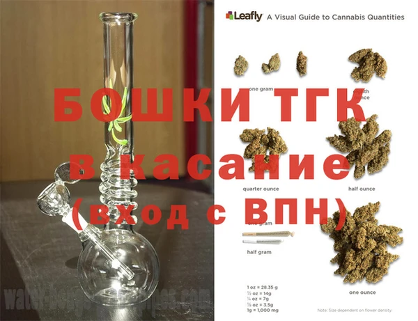 ГАЛЛЮЦИНОГЕННЫЕ ГРИБЫ Алзамай